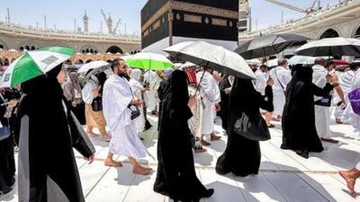 همه زائران به وقوف در عرفات خواهند رسید