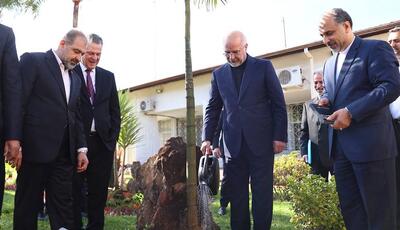 وزیر کشاورزی برزیل با قالیباف دیدار کرد؛ کاشت نهال دوستی در سفارت ایران در برازیلیا