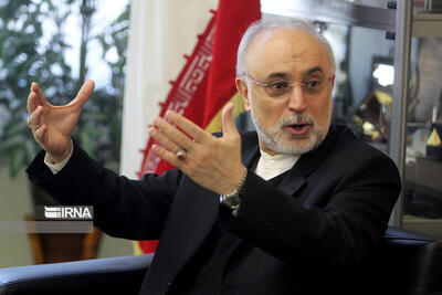 صالحی: دونالد ترامپ باید پاسخ دهد که چرا از برجام خارج شد