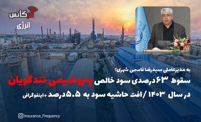 به مدیرعاملی سیدرضا قاسمی شهری؛ سقوط ۶۳ درصدی سود خالص پتروشیمی تندگویان در سال ۱۴۰۳ / افت حاشیه سود به ۵.۵ درصد + اینفوگرافی