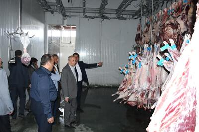 تمهیدات جهاد کشاورزی آذربایجان شرقی برای تامین دام عید قربان/ رشد ۱۱ درصدی تولید گوشت قرمز