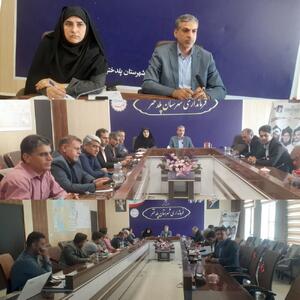 تشکیل ۲۷ فقره پرونده قضایی برای متخلفان تغییر کاربری اراضی کشاورزی در پلدختر