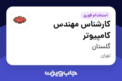 استخدام کارشناس مهندس کامپیوتر در گلستان