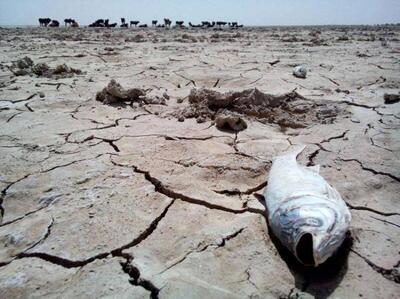 لزوم رعایت حقابه اراضی کشاورزی هلیل‌رود و تالاب جازموریان