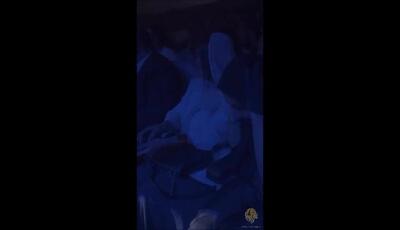 جشن تولد خواهر رضا شیری در کنسرت و لبخند پدر و مادرش بر صحنه