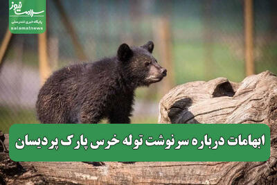 ابهامات درباره سرنوشت توله خرس پارک پردیسان