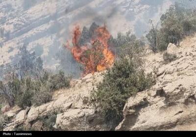 آتش‌سوزی ارتفاعات کهمره سرخی شیراز مهار شد - تسنیم