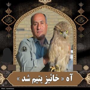 شهادت محیط‌بان خاییز؛ فریادی از دل طبیعت مظلوم - تسنیم