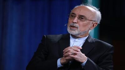 ایران هیچ کاری خلاف تعهدات پادمانی خود نکرده است/ باید از تجربه برجام استفاده کنیم