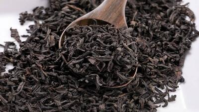استحصال نزدیک به ۱۱ هزار تن چای خشک در سال ۱۴۰۴