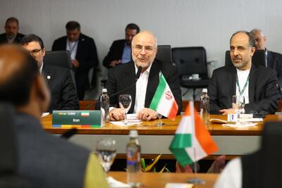 دیدار قالیباف با همتای هندی‌اش
