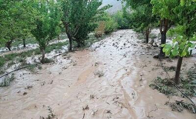 هشدار سازمان امداد و نجات برای سیلاب در برخی نقاط کشور
