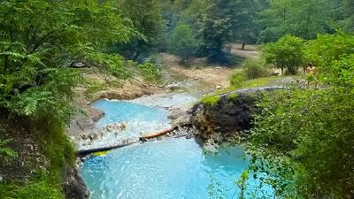 جنگل بلیران / بهشتی پنهان در مازندران