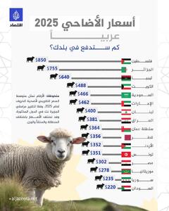 اینفوگرافی/ متوسط قیمت گوسفند در کشور‌های عربی در آستانه عید قربان | اقتصاد24