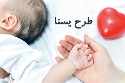 طرح یسنا به چه کسانی تعلق می گیرد؟
