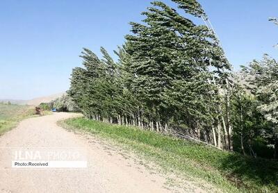 خنکی هوا و وزش بادهای شمالی در قزوین تا شنبه ادامه دارد