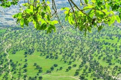 معاون محیط زیست: احیای تالاب های فارس مستلزم همکاری مردم است