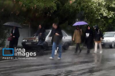 باران، غبار از چهره مشهد شست