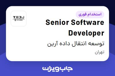 استخدام Senior Software Developer در توسعه انتقال داده آرین