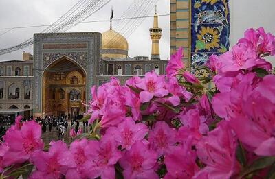 فضاآرایی و آذین بندی حرم مطهر رضوی به مناسبت عید قربان