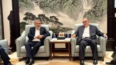 عبدالرضا رحمانی فضلی به چین رسید