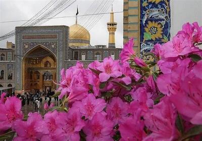 از آذین بندی تا جزئیات نماز عید قربان در حرم مطهر رضوی - تسنیم