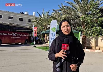 حجاج فلسطینی کرانه باختری؛ نمایندگان اهالی غزه در حج امسال - تسنیم