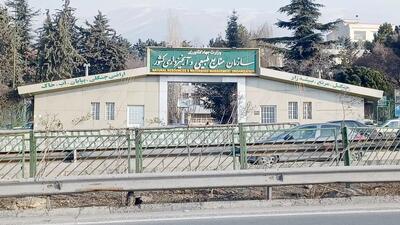اعتراض کارکنان سازمان منابع طبیعی به درآمدهای نجومی مدیران؛ اسناد افشا شد!