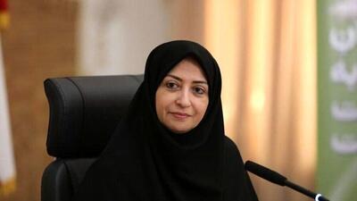 رئیس سازمان حفاظت محیط زیست: همه استان‌های کشور با مشکلات محیط زیستی مواجه‌اند  