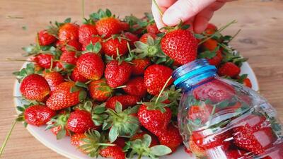 روش طبیعی برای نگهداری از توت فرنگی / تا ۱ سال توت فرنگی تازه دارید