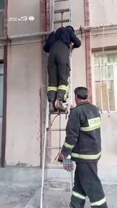ببینید؛ نجات پرستوی گرفتار در دیوار توسط آتش‌نشانان کرمانشاهی