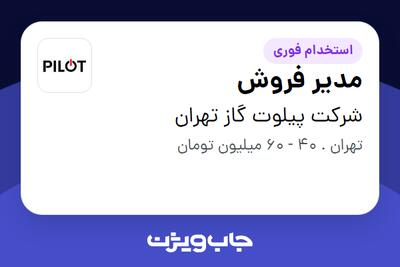 استخدام مدیر فروش در شرکت پیلوت گاز تهران