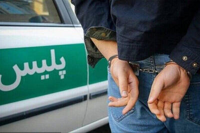 در تعقیب و گریز هالیوودی،گلوله پلیس مستی از سر راننده فراری پراند!