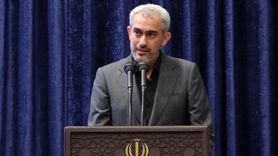 رشد عدالت محور برنامه دولت کارشناسان/ علی مدنی زاده از تئوری تا عمل