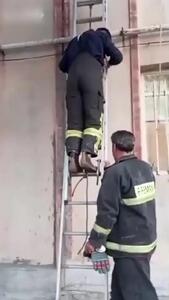 تلاش آتش‌ نشانان کرمانشاهی برای نجات پرستوی گیرافتاده در دیوار