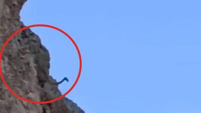 ثبت حضور پلنگ در زیستگاه طبیعی دماوند