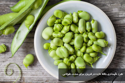 طرز نگهداری باقلا تازه در فریزر برای مدت طولانی + مدت زمان نگهداری باقلا در فریزر