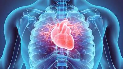 ماری‌جوانا و تأثیراتش بر قلب: آیا خطرات واقعی در انتظار شماست؟