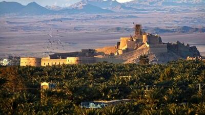 چند سودجو به جان باغ شهر جهانی بم افتادند