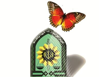 با تلاش پلیس، کودک گمشده به آغوش خانواده بازگشت