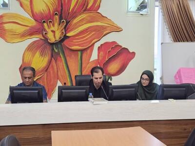 ضرورت اجرای برنامه های فرهنگی و هنری در شهر لنگرود در جهت جذب و مشارکت شهروندان