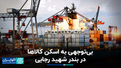 بی‌توجهی به اسکن کالاها در بندر شهید رجایی+ فیلم