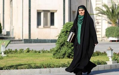 صادق:قیمت بلیت پروازهای اربعین تعیین می‌شود