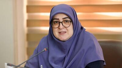 مهاجرانی: دولت مصمم به بازگشت اتباع غیرمجاز است