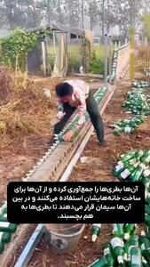 خانه شیشه‌ای چین
