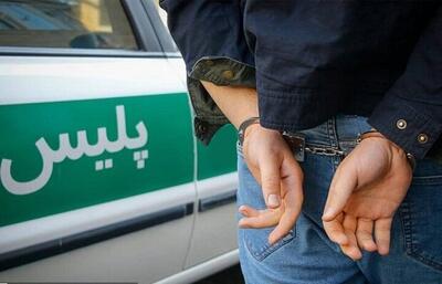 قوه قضاییه: متهم قتل الهه حسین‌نژاد سابقه تجاوز و سرقت نداشته است
