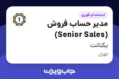 استخدام مدیر حساب فروش (Senior Sales) در یکتانت