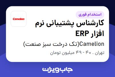 استخدام کارشناس پشتیبانی نرم افزار ERP - آقا در Camelion(تک درخت سبز صنعت)