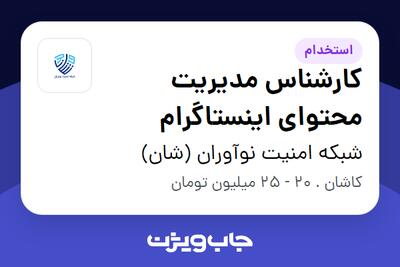 استخدام کارشناس مدیریت محتوای اینستاگرام در شبکه امنیت نوآوران (شان)