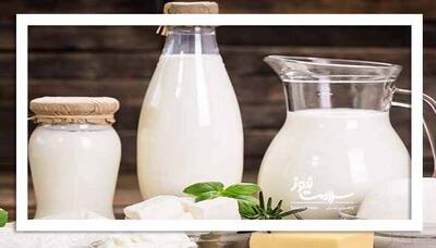 لبنیات سنتی یا کارخانه‌ای؟ بررسی چالش‌ها، واقعیت‌ها و راهکارها در گفت‌وگو با دامپزشکی کرمان